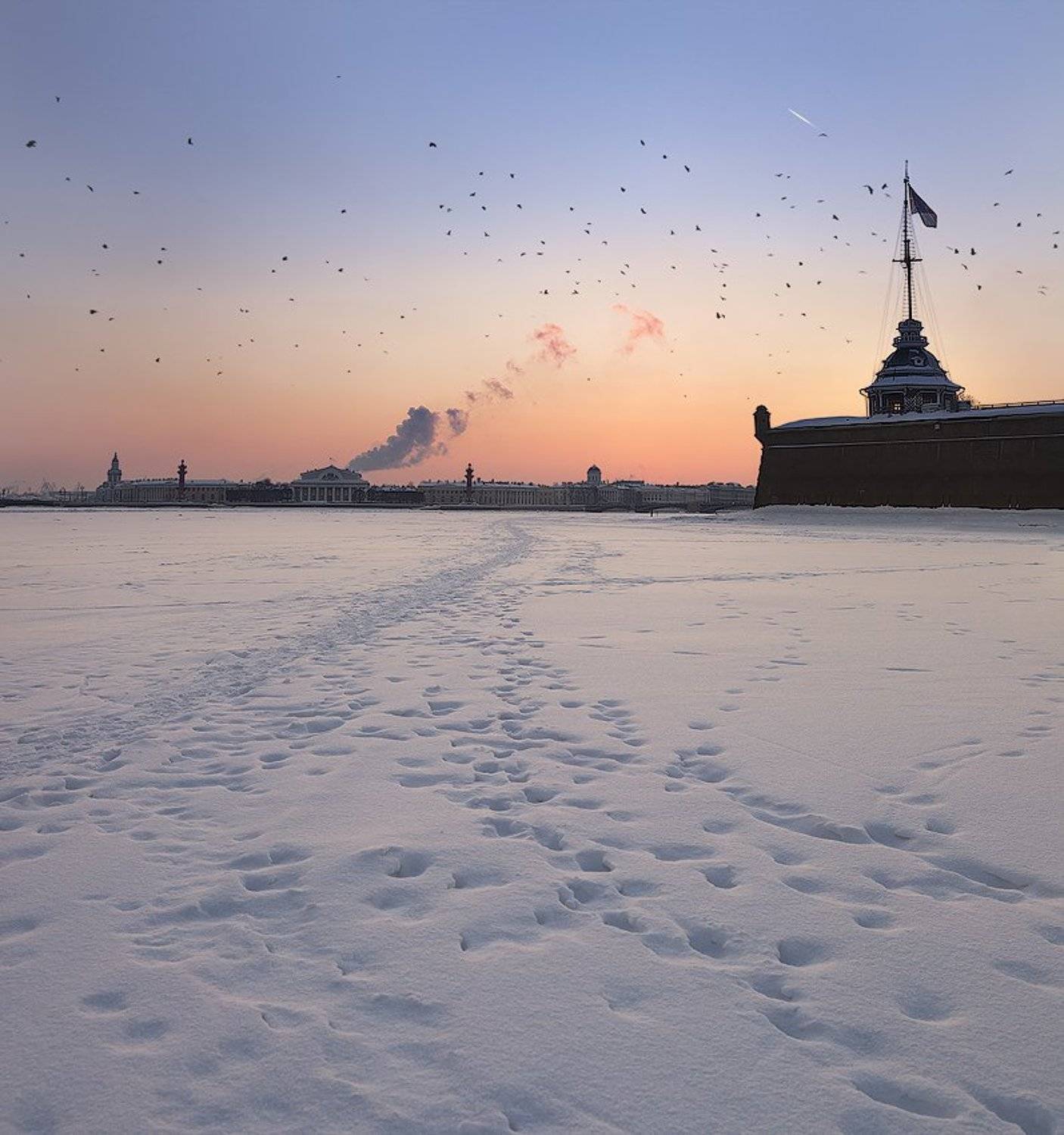 санкт-петербург, нева, васильевский остров, биржа, ростральные колонны, петропавловская крепость, зима, закат, следы, снег, птицы, панорама, EGRA : ЕГРА