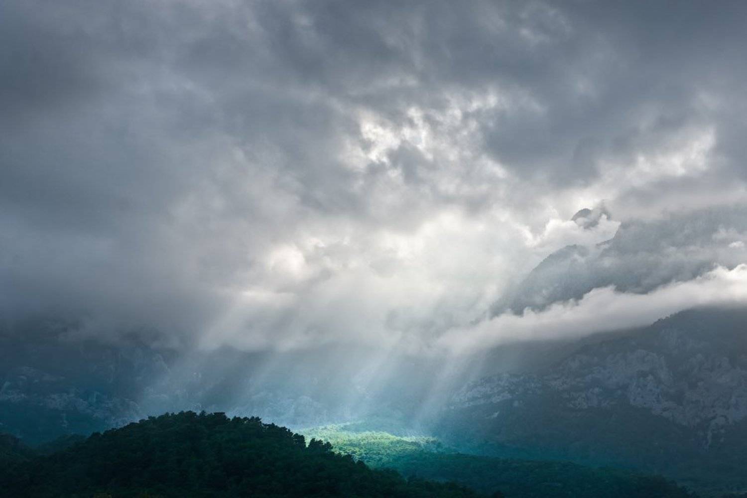 , Михаил Палинчак