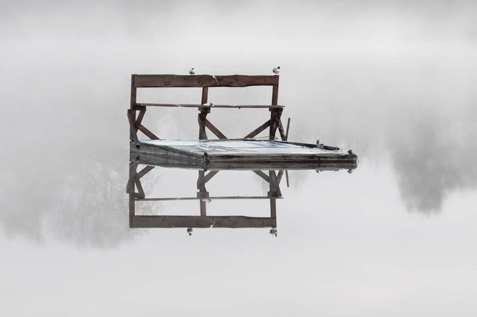 , Rimantas Bikulcius