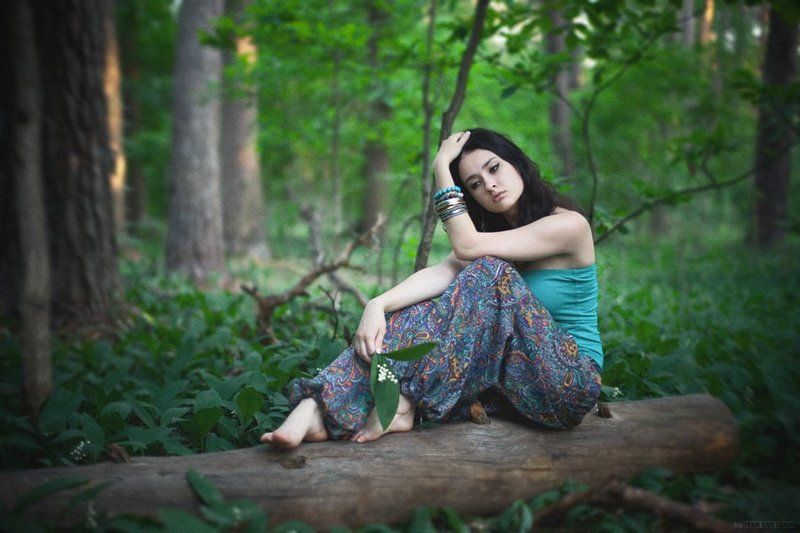 forest enigma фото превью