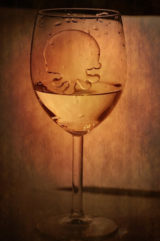 Медуза фото превью