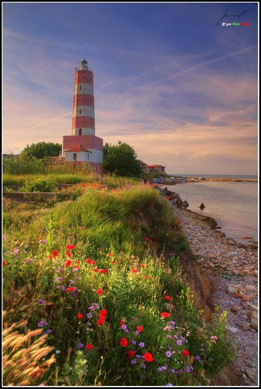 light  фото превью