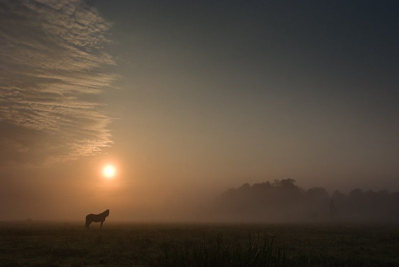 утро Тихое утро фото превью