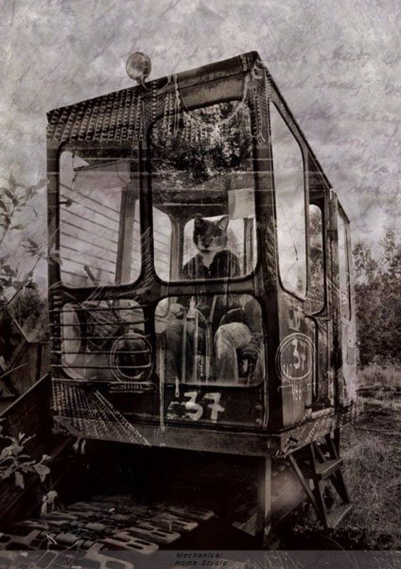 сны сон фото превью