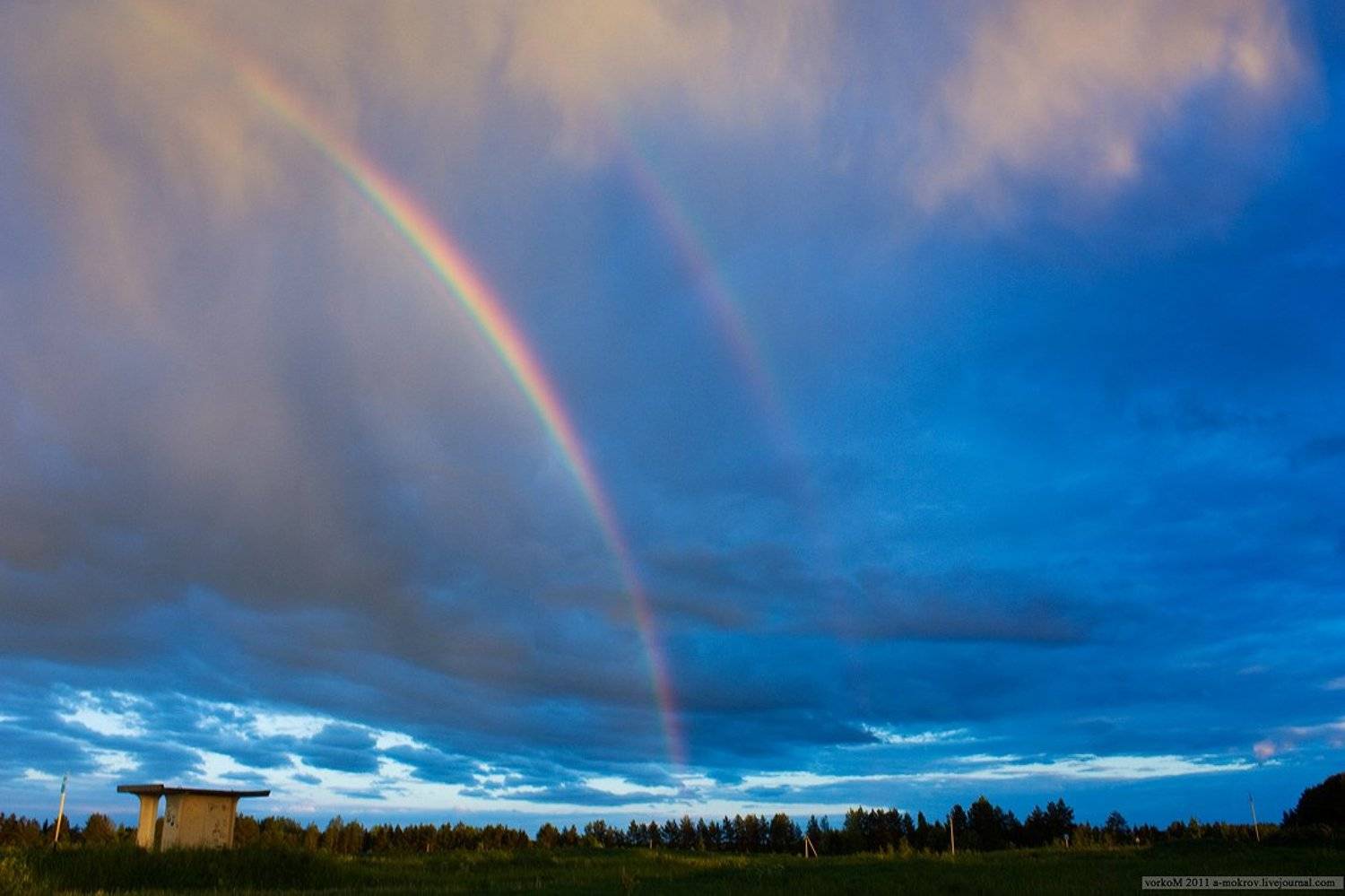 , Александр Мокров