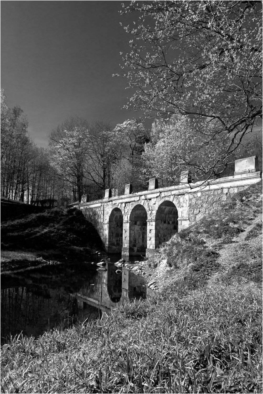 ораниенбаум,парк,петроффский,мост, Andrey D