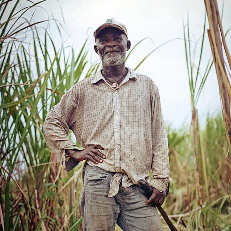 Доминиканский рабочий фото превью