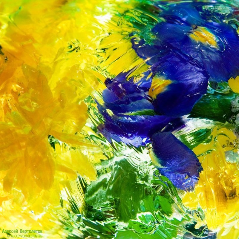 алексей вертолетов, акварель, цветы  фото превью