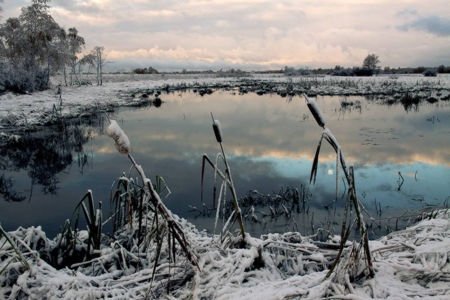 , снег, сентябрь, болото, Николай Морский