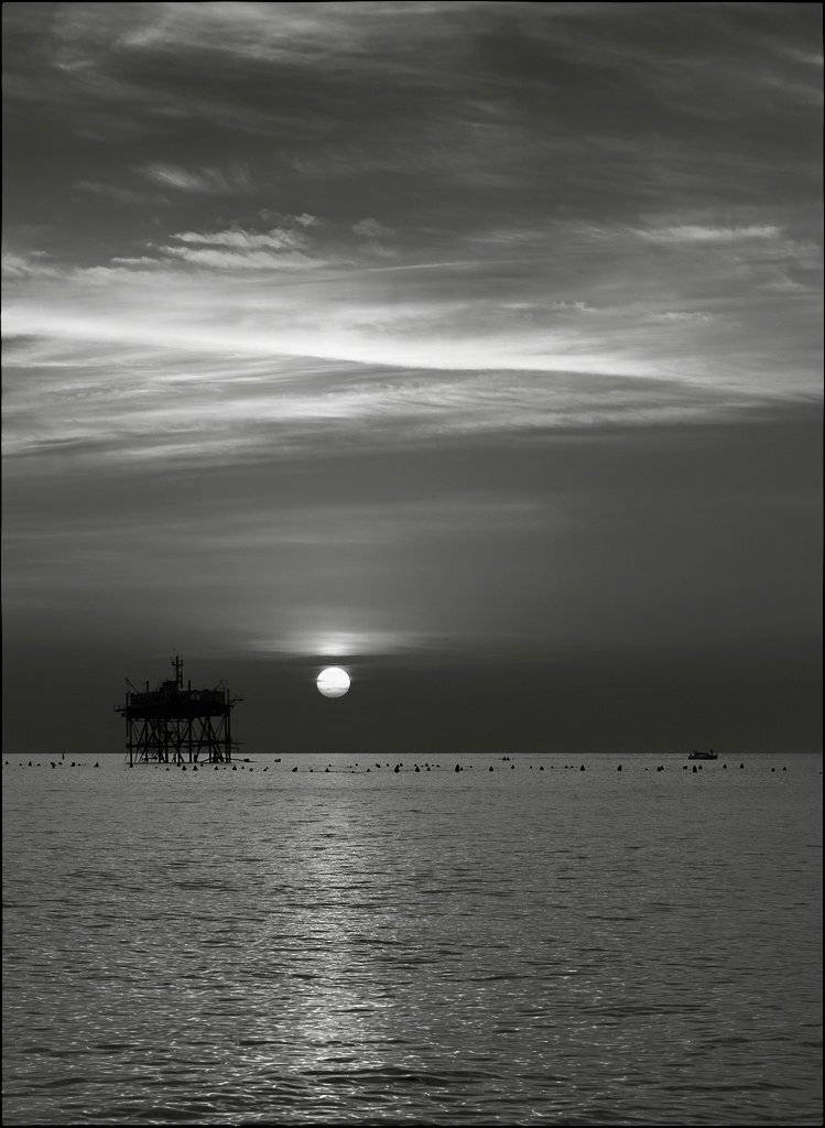 кацивели, крым, Лариса Гурьева