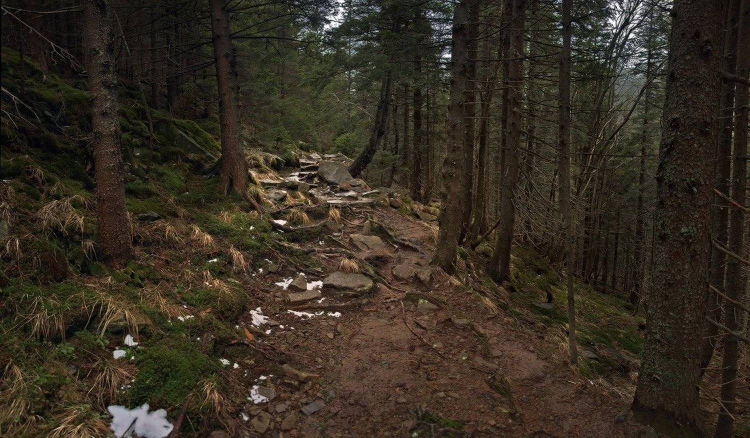 , Михаил Мочалов