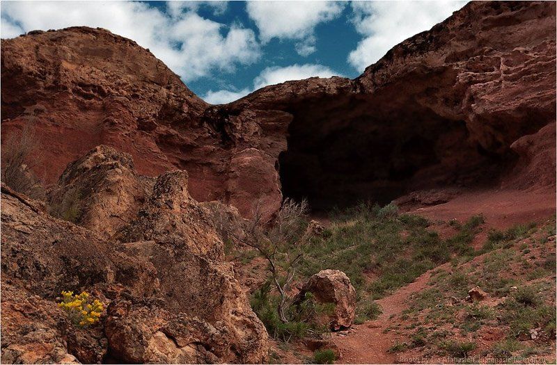 скалы, степь, лошади, казахстан, темирлик Темирлик, июнь 2011 фото превью