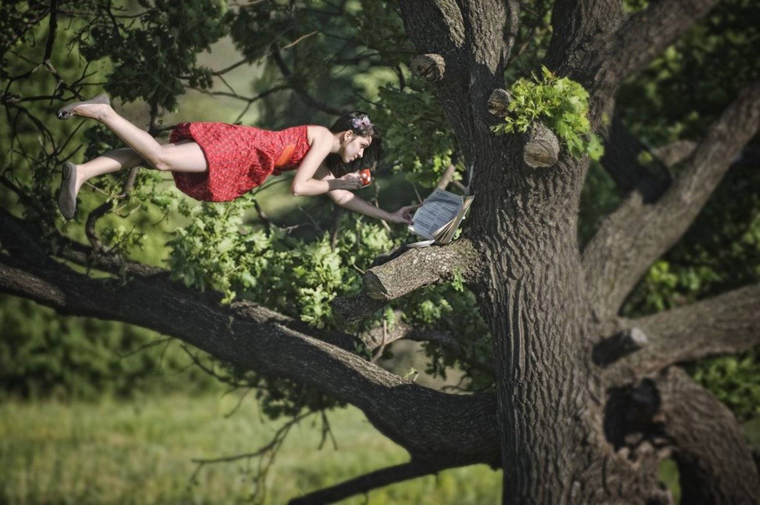 , Владислав