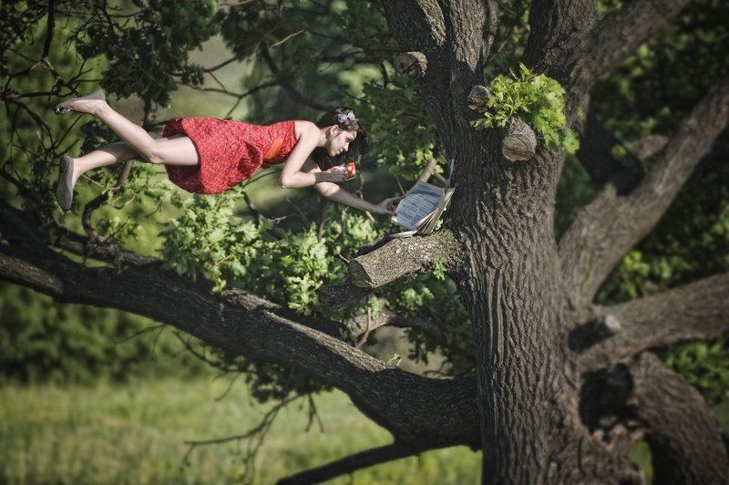 фото превью