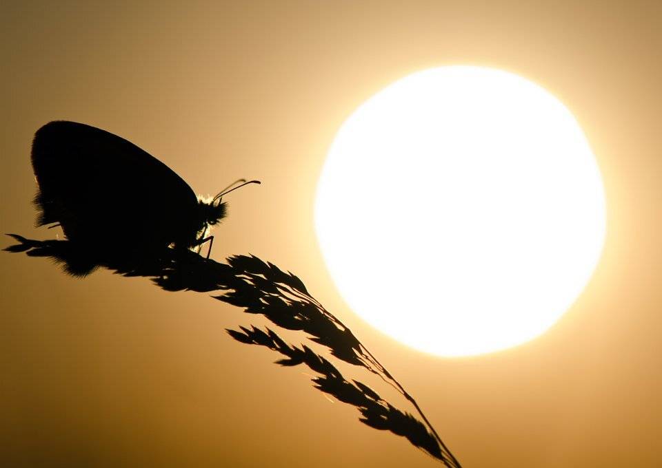 , Татьяна Аверина