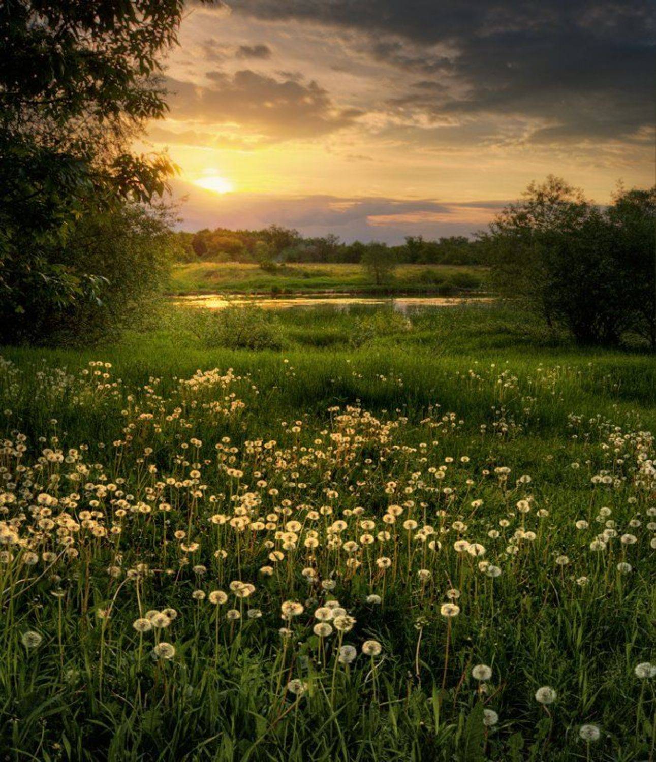 , Сергей Иванов