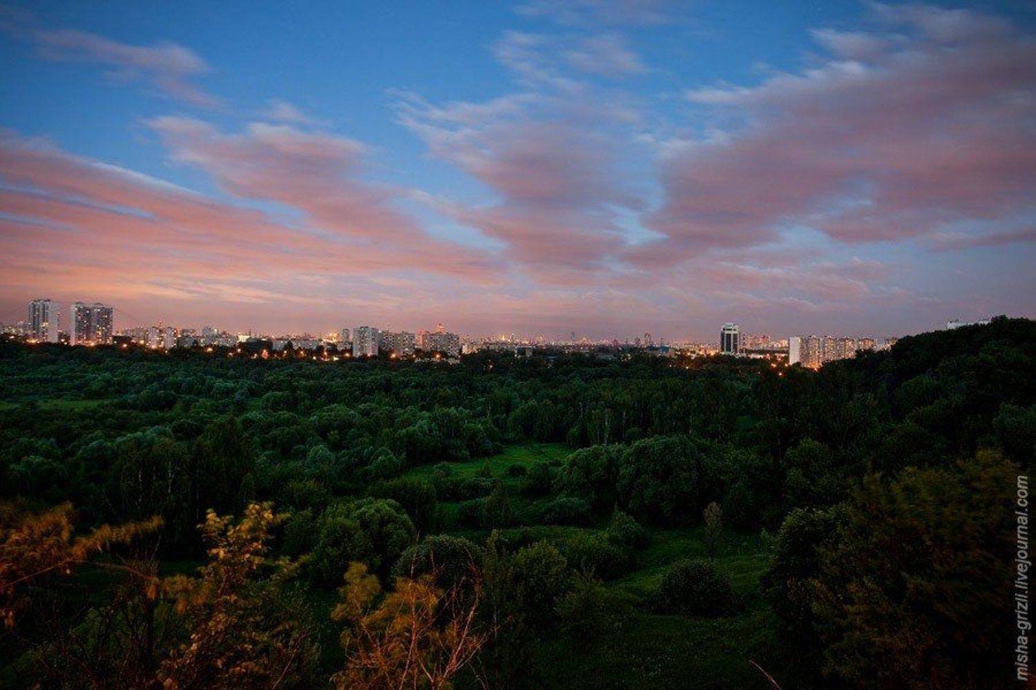 , Михаил Гризли