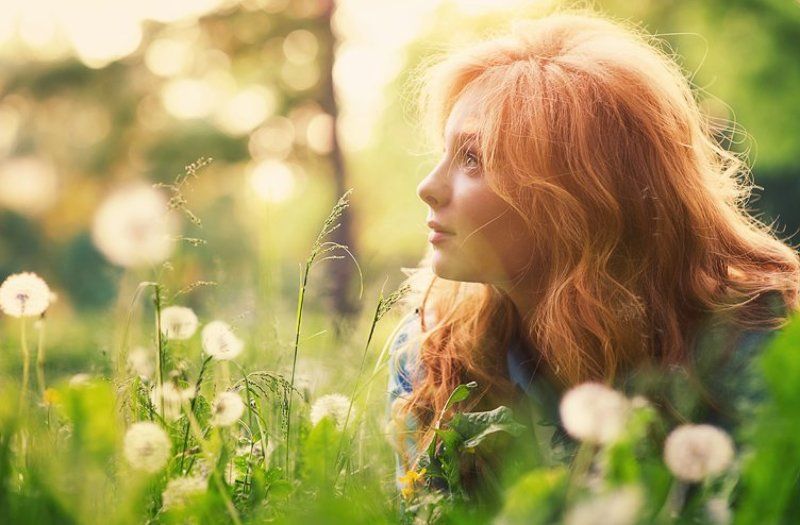 wwwest  фото превью