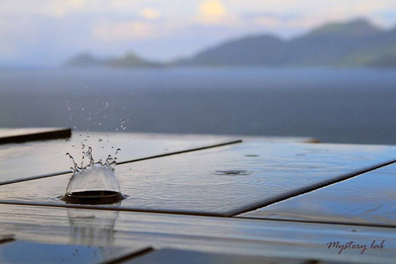 сейшелы, rain, seyshelles, Плечкова Ольга