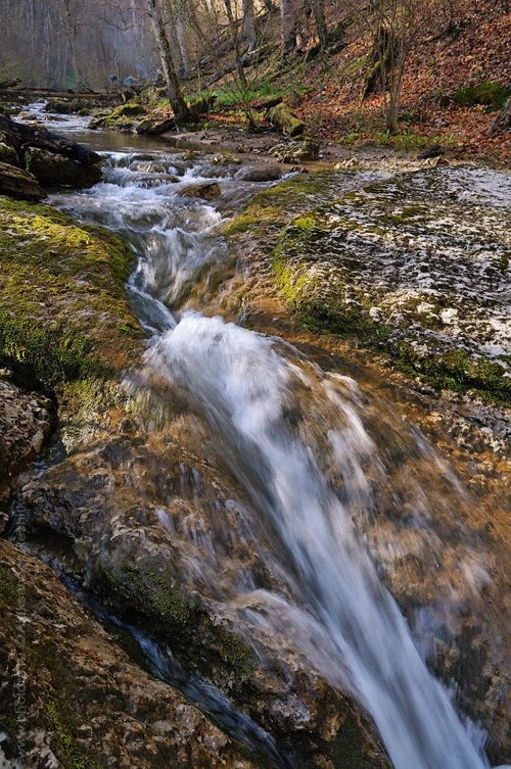 бурульча, Александр Решитько