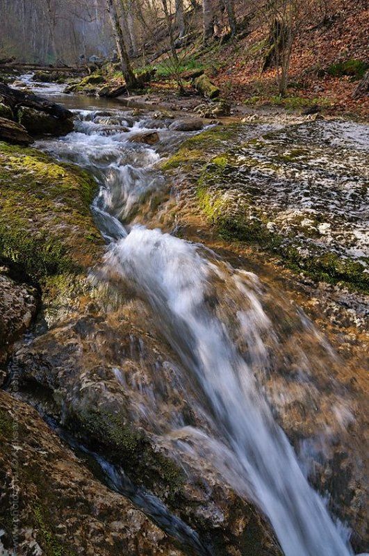 бурульча  фото превью