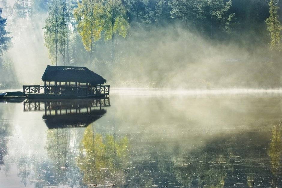 , Rimantas Bikulcius