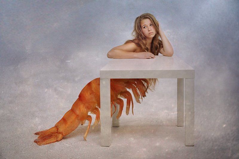 коллаж, |, креветка, |, фотоарт, |, компарт  фото превью