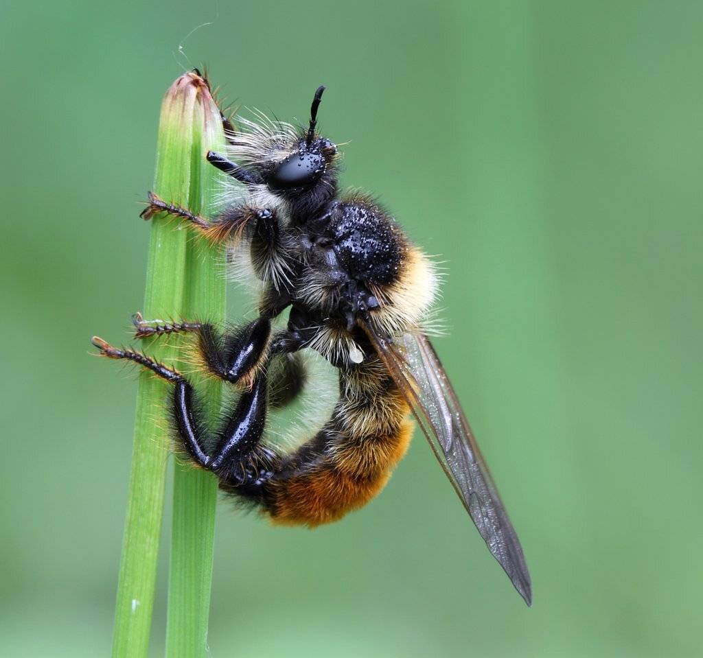 , Сергей Таланов