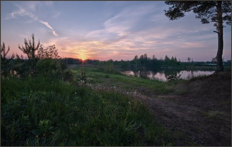 рассвет, озеро, лес  фото превью
