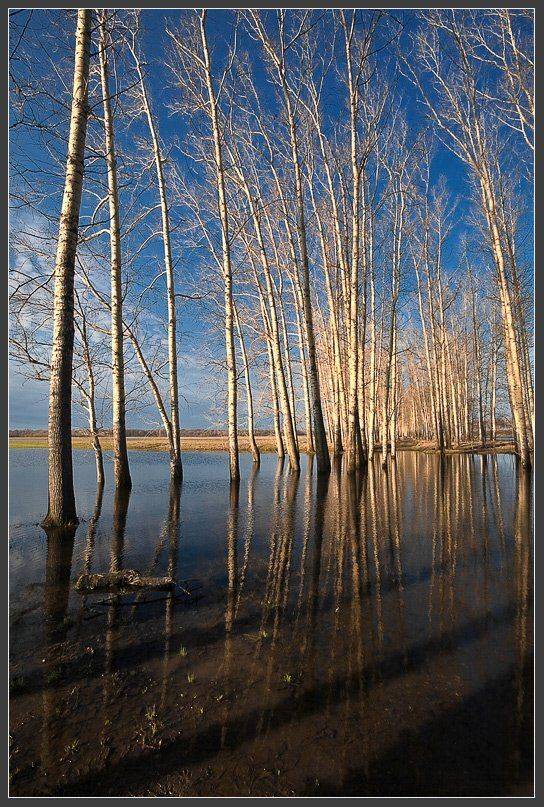 , Сергей Захаров.