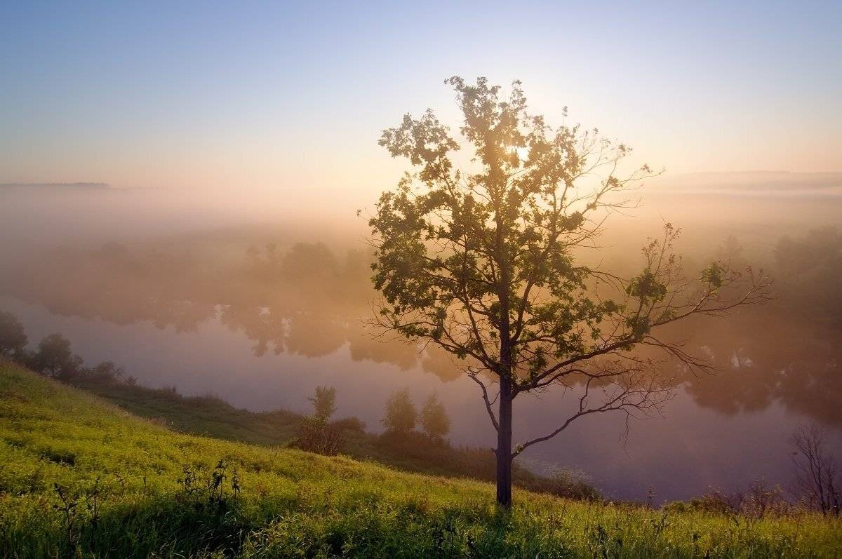 красивая, меча, Андрей Уляшев (Mercand)