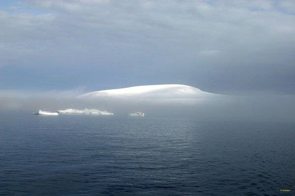 , Николай Шелепов