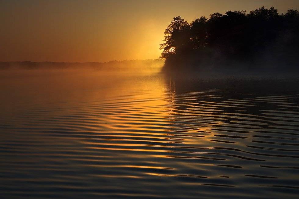 , Rimantas Bikulcius