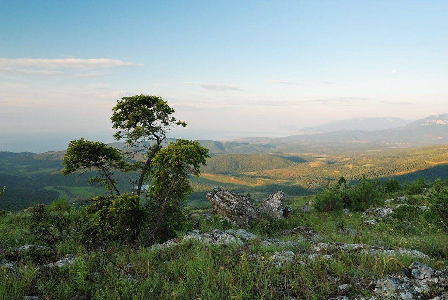рассвет, Александр Решитько