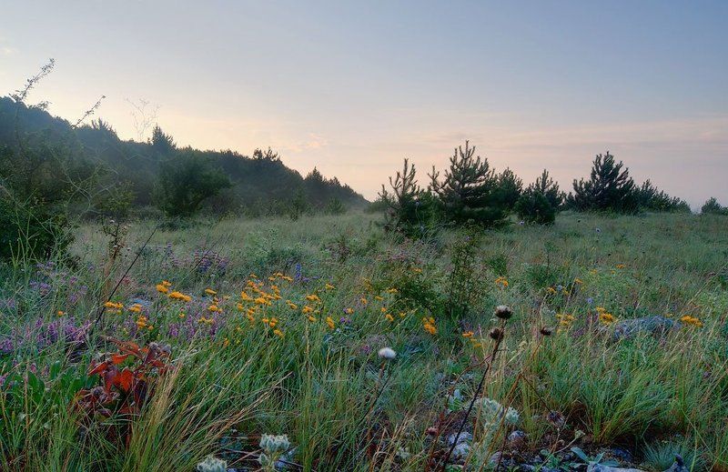 фото превью