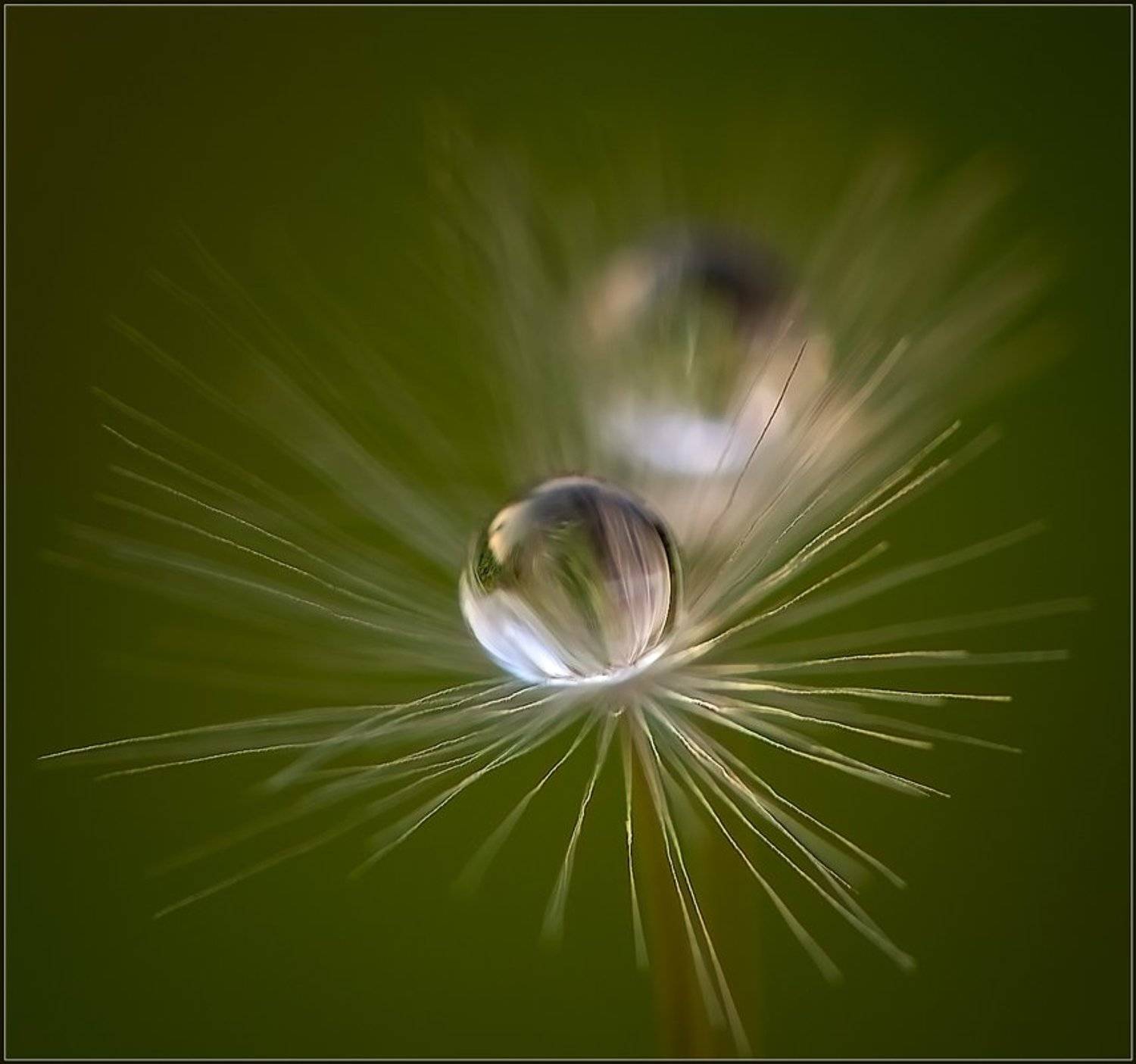 , Евгений Кирилкин.