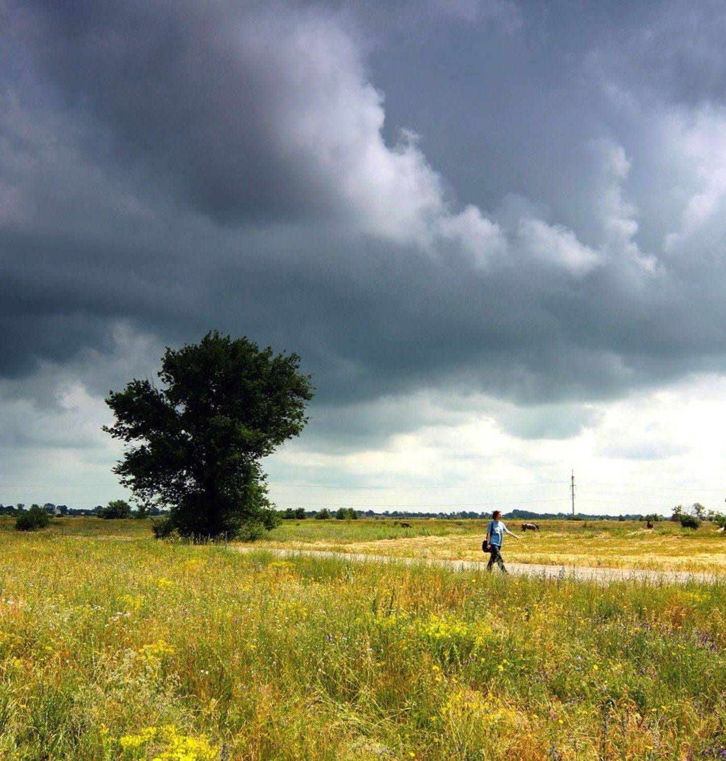, Александр Андреев