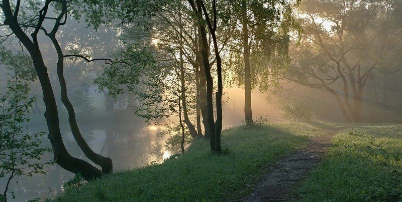 ...утренние нюансы... фото превью