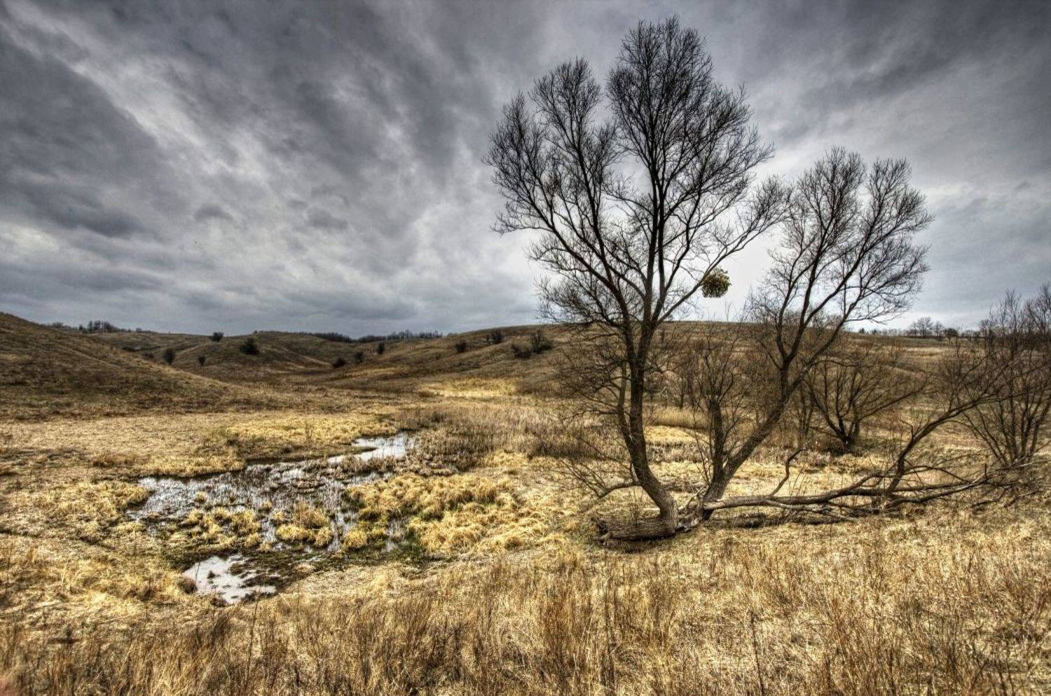 пейзаж, панорама, природа, canon400d, Vikst