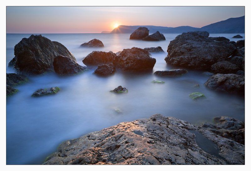 крым, инжир  фото превью