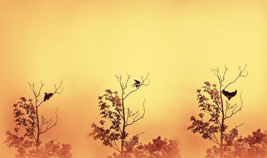 , Александр