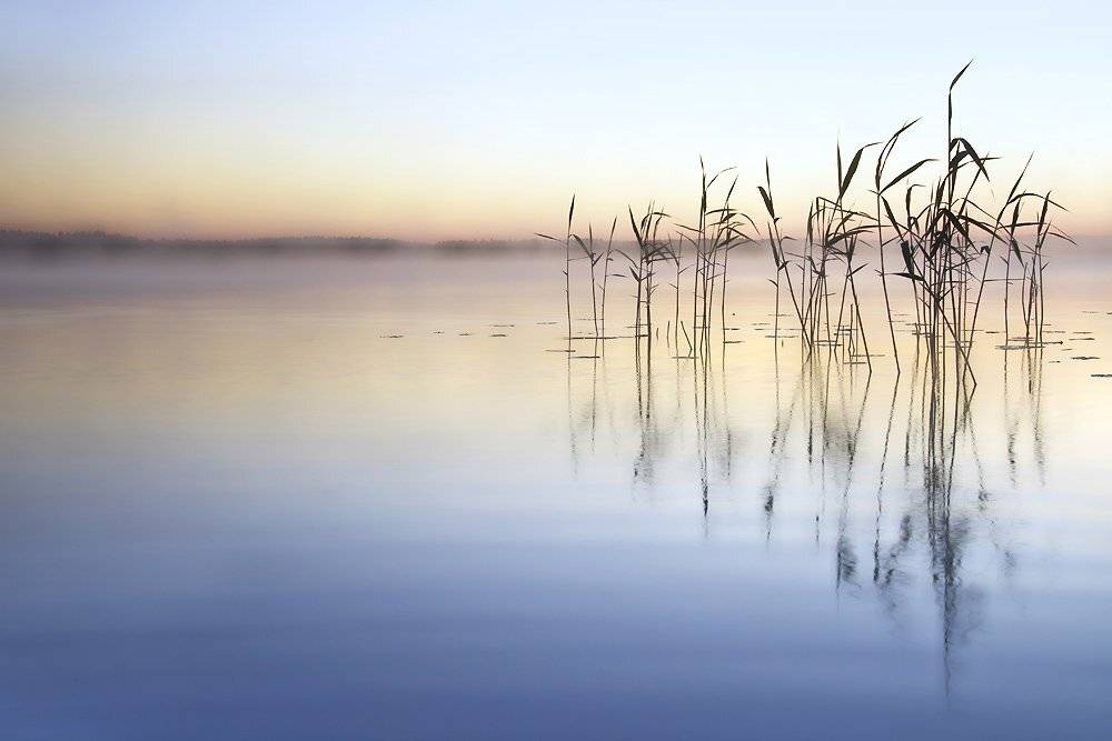 , Rimantas Bikulcius