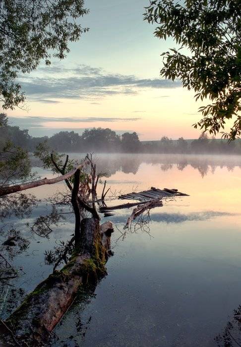 , Полищук И.В.