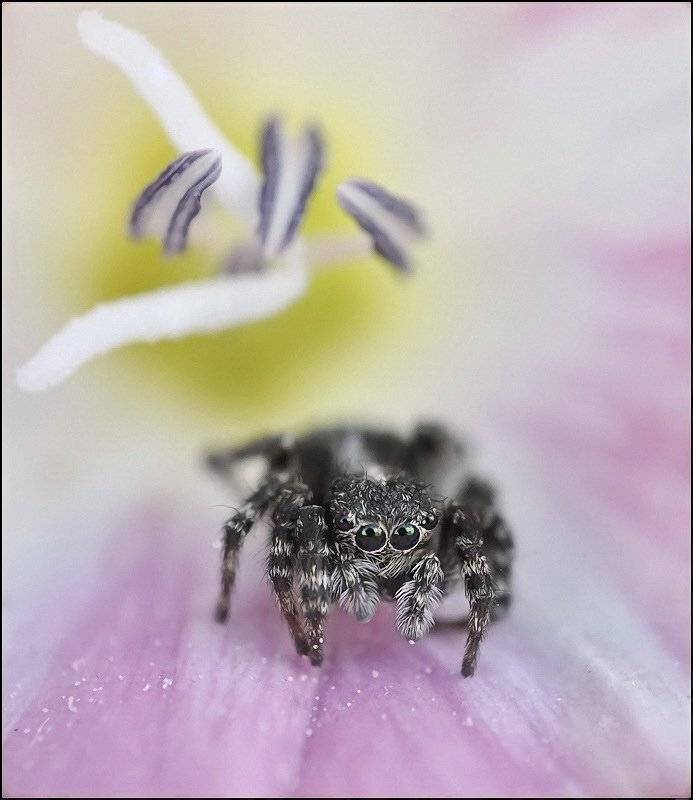 , Андрей Осокин