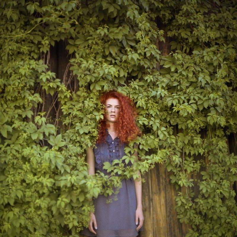 6x6, portrait  фото превью