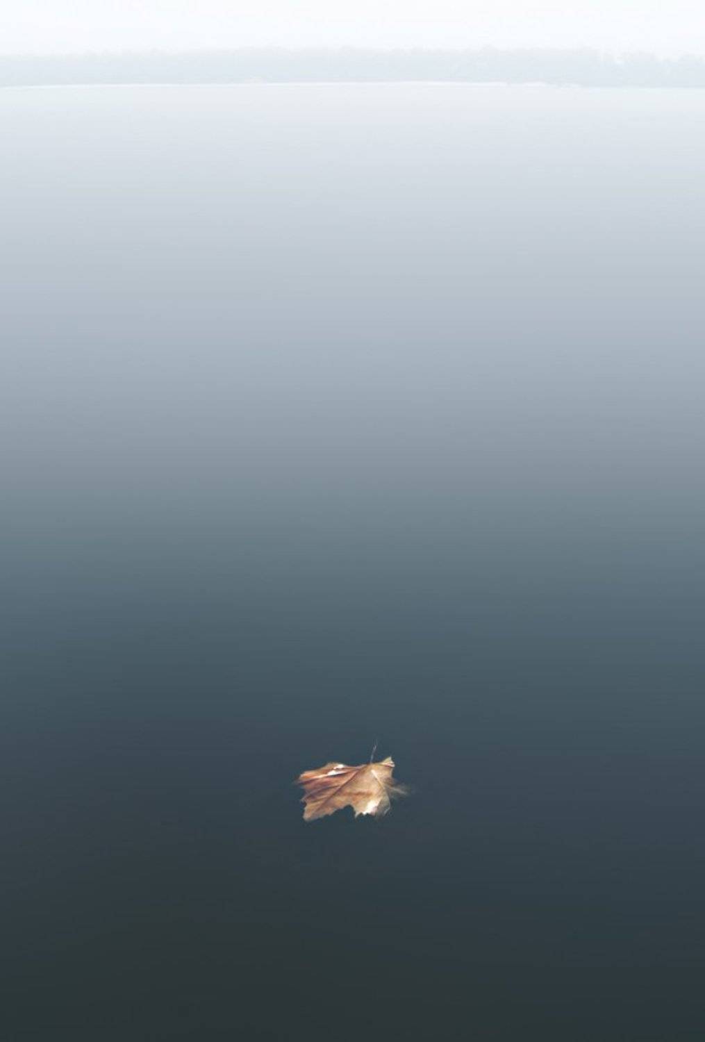 , Михаил Палинчак