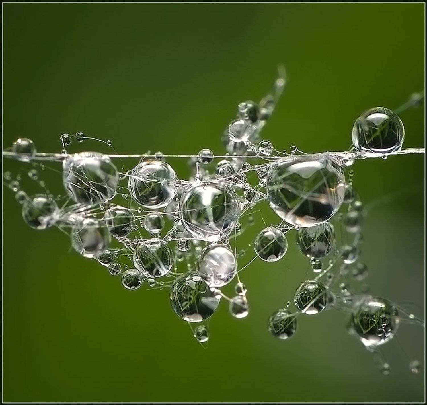 , Евгений Кирилкин.