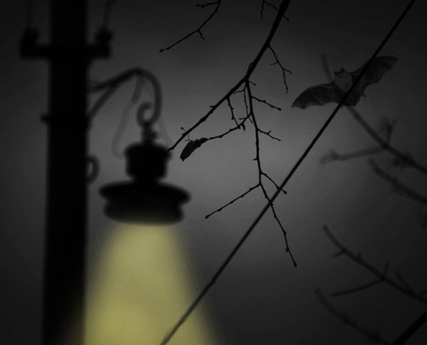 , Семёнова Юлия