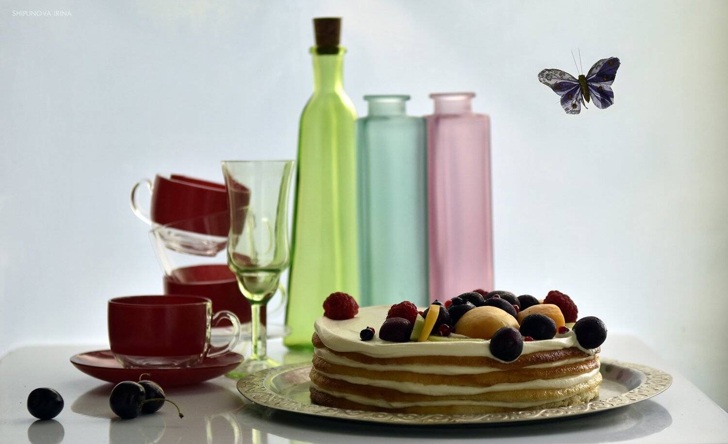 , Шипунова Ирина