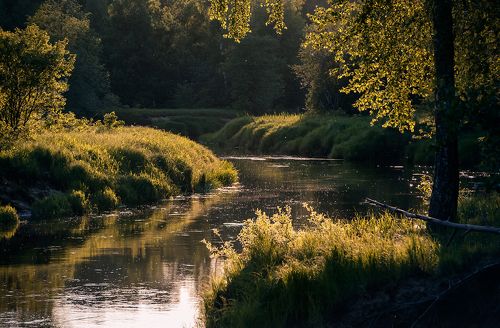 Этюды у вечерней реки …